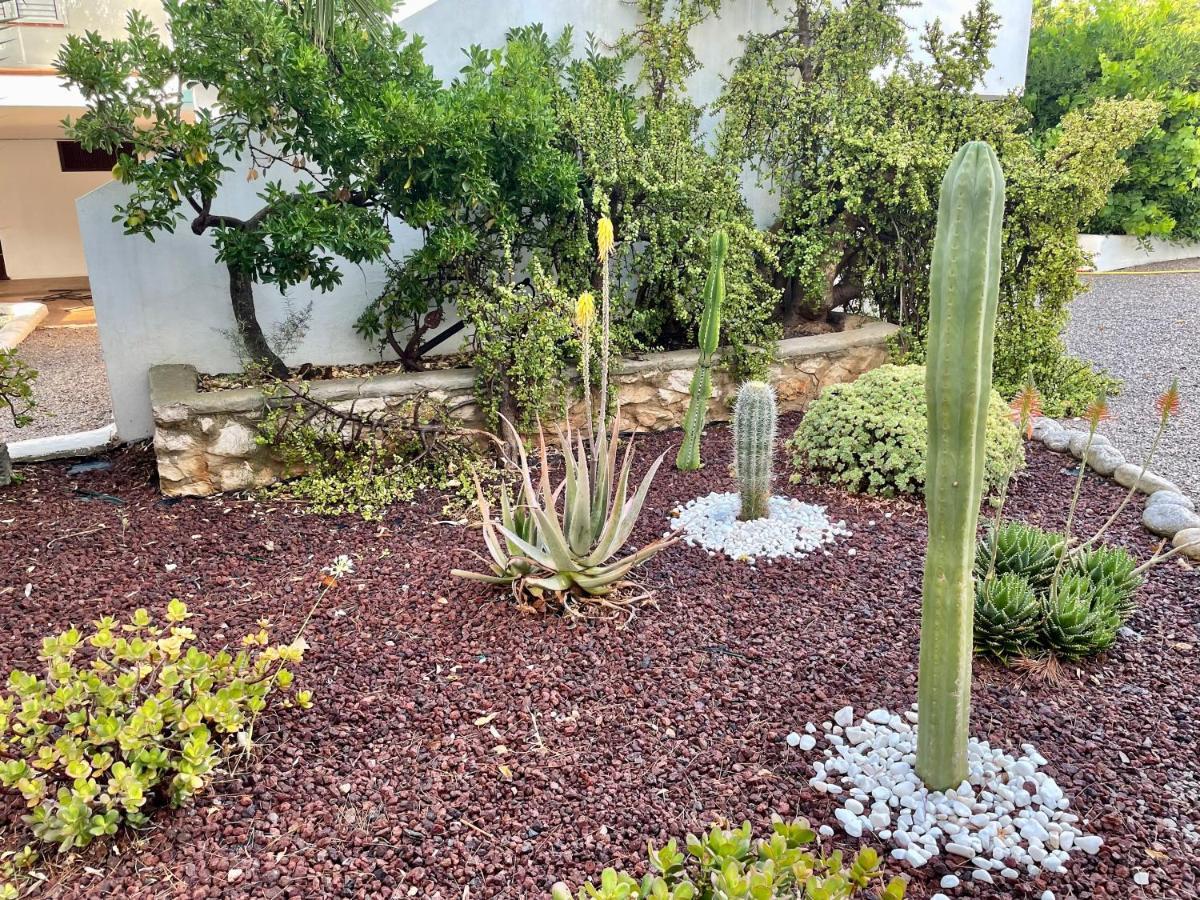 Can Mossenyer San Antonio  Exteriér fotografie